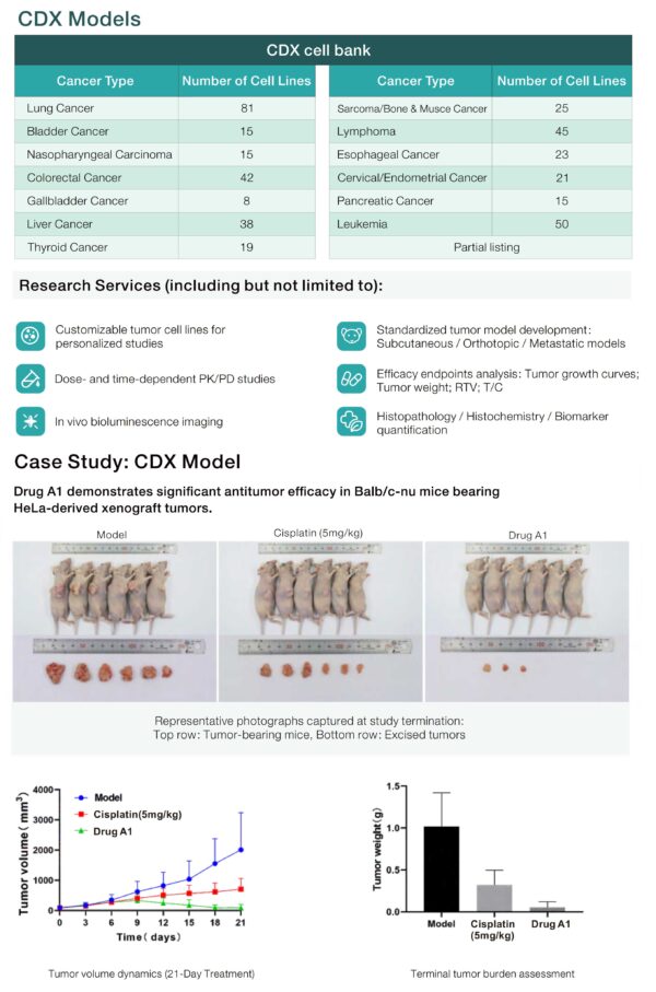 cdx model