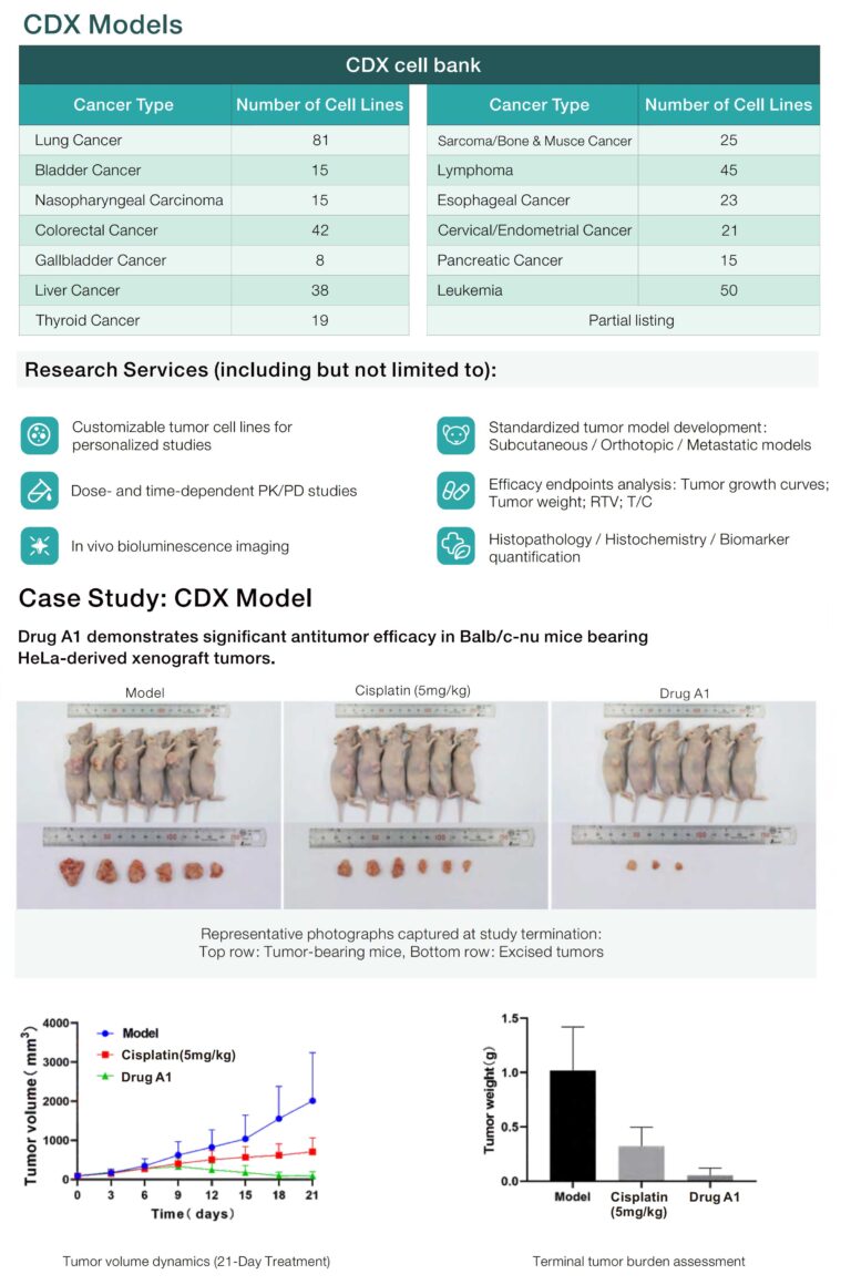 cdx model