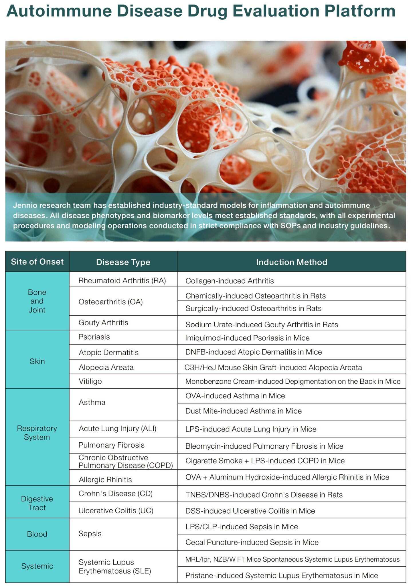 autoimmune disease models